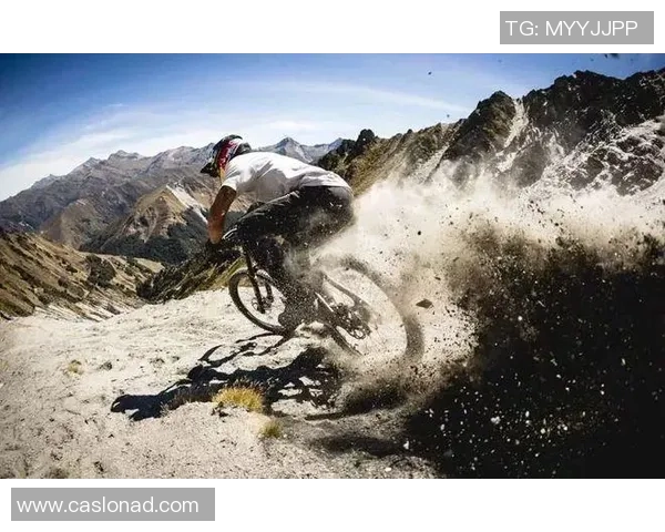 广州极限运动队在极限运动联赛中的团队协作表现分析与点评