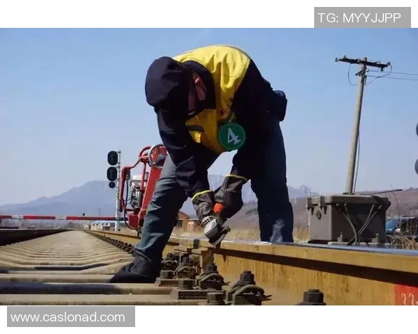 成都滑板队速度表现数据分析揭示训练效果与技术提升的关系 成都滑板队速度表现数据分析揭示训练效果与技术提升的关系